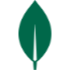 MongoDB icon