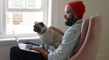 Man with pug dog using laptop